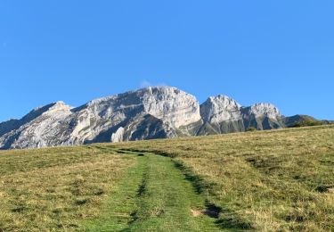 Excursión Senderismo Mont-Saxonnex - Col de Cenise et plateau de Solaison - Photo