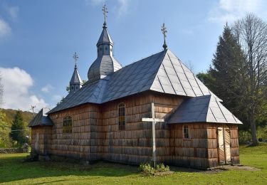 Randonnée A pied Olchowiec - Ścieżka Przyrodniczo-Historyczna Olchowiec - Photo