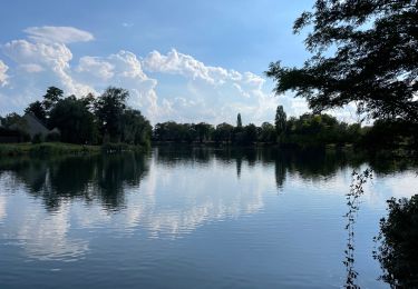 Tocht Stappen L'Isle-Adam - Autour de l’Isle Adam - Photo