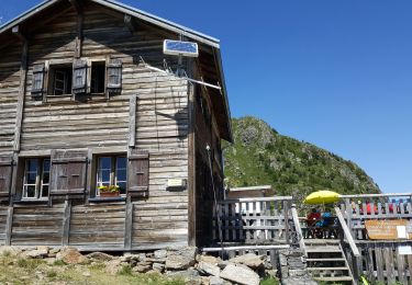 Tocht Sledehonden Chamonix-Mont-Blanc - chx plan praz. brevet. bellachat. chx - Photo