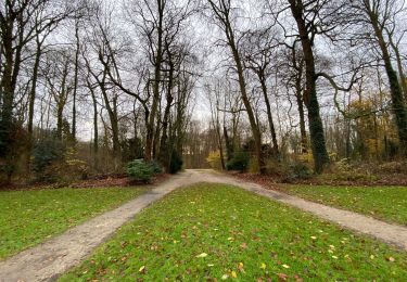 Trail Walking Tervuren - Tervuren 22 km - Photo