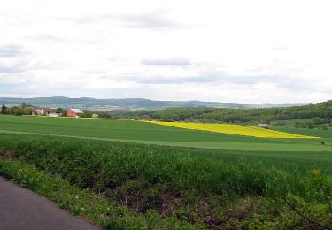 Trail On foot Gudensberg - Josef-Merten-Weg - Photo