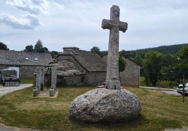 Tour Wandern Saint-Paul-le-Froid - les combes de St Paul le froid  - Photo