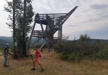 Tour Wandern Wellin - La Vallée du Wéri - Photo