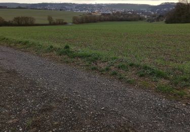 Percorso A piedi Osterburken - Rundwanderweg Barnholz 2: Bofsheimer-Weg - Photo