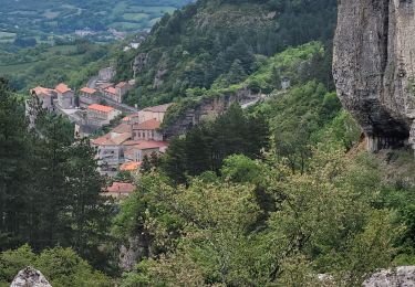 Excursión Senderismo Roquefort-sur-Soulzon - le Combalou par le sentier des échelles - Photo