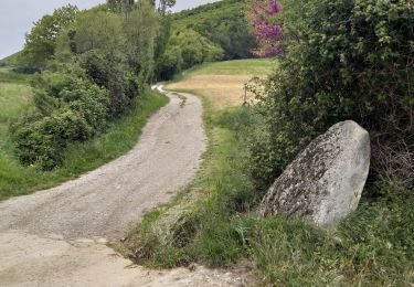Trail Walking Aubres - le Flachet petit Veyronne ferme des Faviers - Photo
