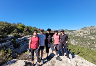 Excursión Bici de montaña Bédoin - Crillon Z'ensemble - Photo