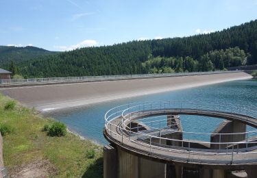 Randonnée A pied Oberhof - Rennsteig-Leiter Luisenthal - Photo