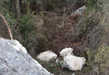 Tocht Stappen La Roquebrussanne - La Loube - Photo