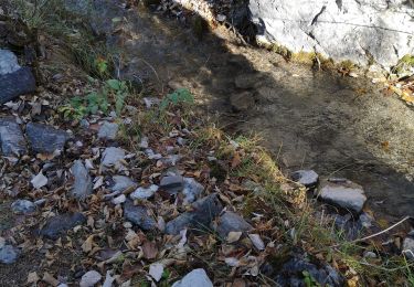 Excursión Marcha nórdica Arbaz - les Evouettes et retour  - Photo