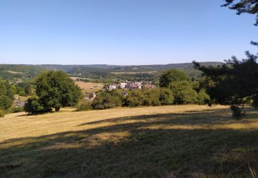 Tocht Stappen Anhée - Bois de la Croix de Banse et Bois de Ronquière - Photo