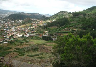 Randonnée A pied Tegueste - SL-TG 03 Las Canteras-Las Toscas - Photo