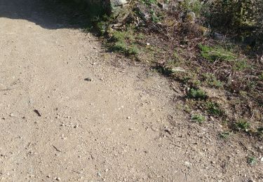 Trail Walking Villeneuve-Minervois - monique 2 - Photo