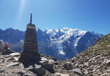Tocht Stappen Chamonix-Mont-Blanc - TAR3 -  Tour des Aiguilles Rouges J3 - Bellachat -  Moede-Anterne - Photo