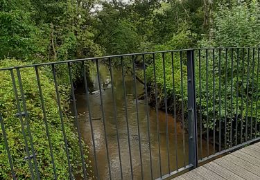 Tocht Stappen Le Teich - 26 juillet 23 - Photo