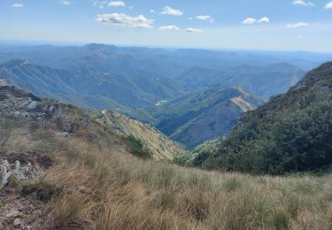 Tour Wandern Saint-André-de-Valborgne - aire de côté à l aigoual - Photo