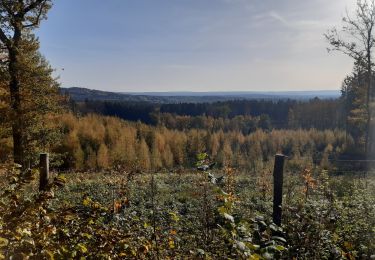 Tour Wandern Bleiberg - Trois  borne - Photo