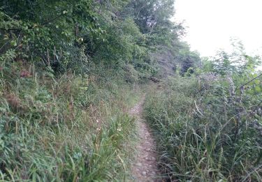 Trail Walking Jurançon - JURANÇON les coteaux  M1  2902947  - Photo