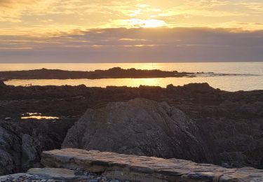 Tour Wandern Trédrez-Locquémeau - Bretagne nord J6 Balade digestive - Photo