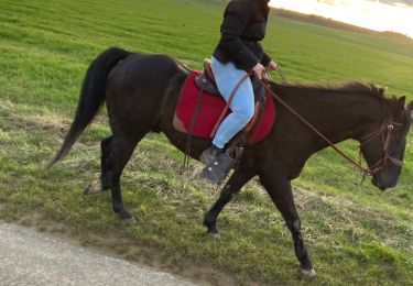 Tocht Paardrijden Domèvre-sur-Vezouze - Repérage avec julie rando du 6 mars equiplaine - Photo