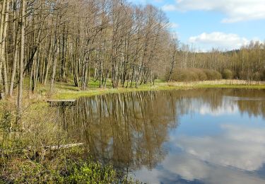 Randonnée A pied Schirnding - Wanderweg 3 Schirnding - Photo