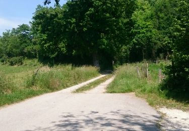 Trail Walking Hauteville-sur-Fier - circuit des onges  - Photo