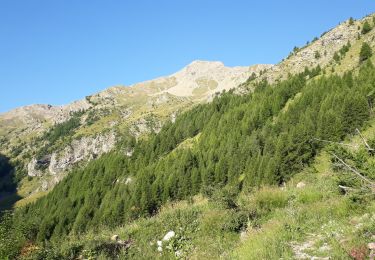 Trail Walking Châteauroux-les-Alpes - Mourre Froid 01/09/18 - Photo