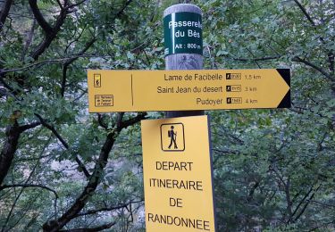 Trail Walking La Javie - Digne : Facibelle - Photo