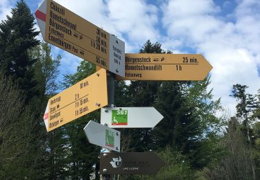 Trail On foot Stans - Bürgenberg - Ätschenried - Photo