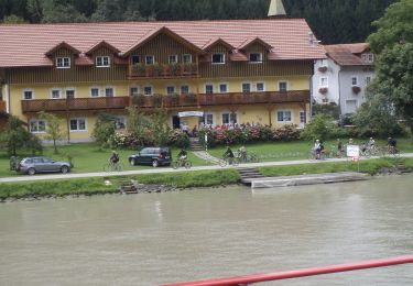 Excursión A pie Haibach ob der Donau - Es muss sein - Weg - Photo