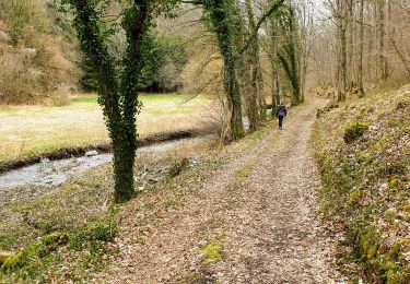 Tour Wandern Tellin - Resteigne - Tellin - Photo