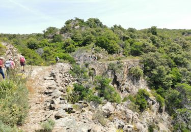 Trail Walking Bormes-les-Mimosas - Vallons de la Gourre et des Caunes  - Photo