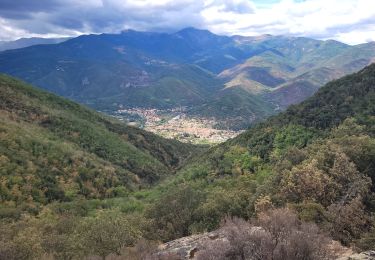 Excursión Senderismo Amélie-les-Bains-Palalda - 12 - Photo