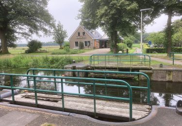 Randonnée A pied Midden-Drenthe - Wijdeblikroute - Photo