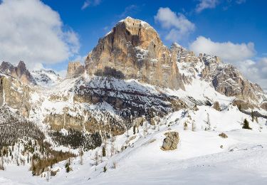 Randonnée A pied Cortina d'Ampezzo - IT-402 - Photo