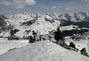 Percorso Racchette da neve Le Grand-Bornand - le roc des tours - Photo