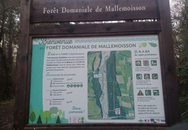 Tour Wandern Mallemoisson - MALLEMOISSON . A LA DÉCOUVERTE DE MALLEMOISSON . N - Photo