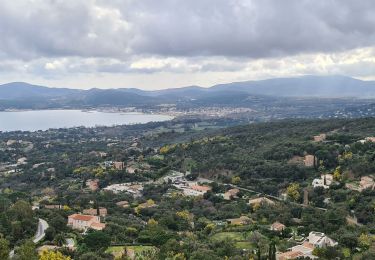 Tocht Stappen Grimaud - beauvallon - Photo