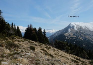 Percorso Marcia Valdiblora - Mont Viroulet et petit Cayres.Départ Bolline b139 - Photo