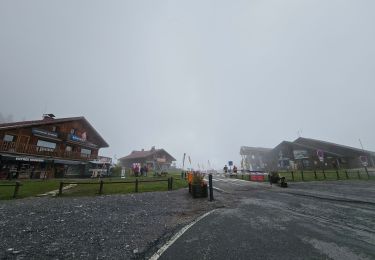 Tour Wandern Passy - J10 - R8 - Plaine Joux - Les Ayères - Lac Vert  - Photo