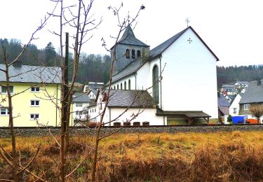 Percorso A piedi Olsberg - Wulmeringhausen Rundweg W2 - Photo