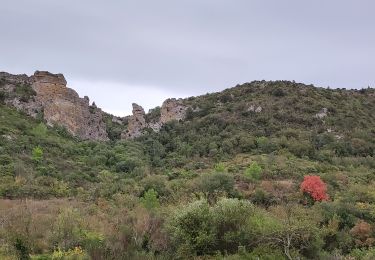 Excursión Senderismo Coustouge - 2-10-2024 - Photo