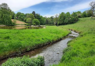 Trail Walking Clavier - Pailhe  - Photo