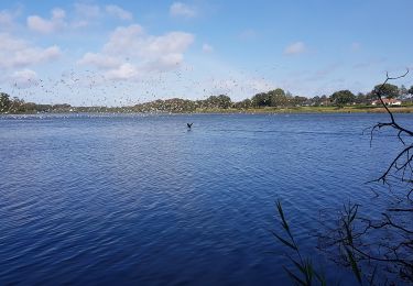 Randonnée A pied  - Hjertestien, Søgård Sø - Photo