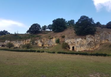 Excursión Senderismo Valkenburg aan de Geul - Houthem 🇳🇱  - Photo