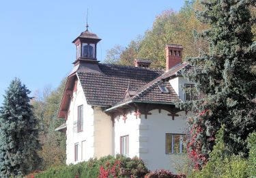 Tour Zu Fuß Gemeinde Pitten - Sparkassenrunde (Pitten) - Photo
