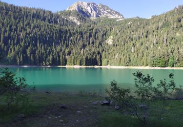 Tocht Stappen  - lac Noir - Photo
