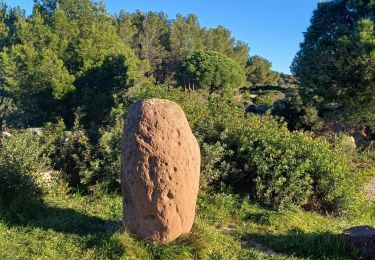 Tocht Stappen Saint-Raphaël - Menhirs D100 - Photo