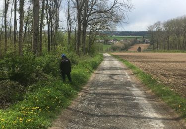 Tour Wandern Gerpinnes - Autour de Gerpinnes - Photo